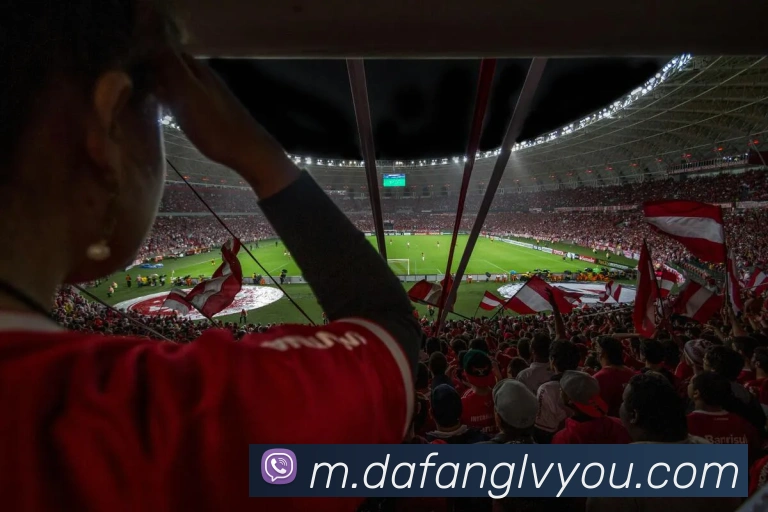 大发彩票发展历程